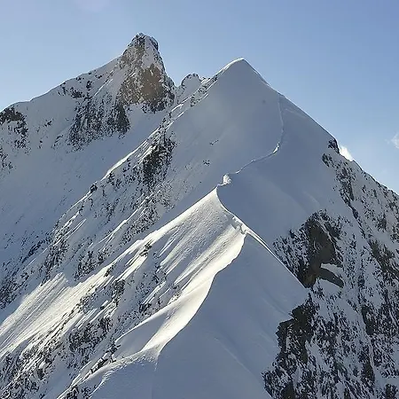 Chesa Staila Frühstückspension 4*