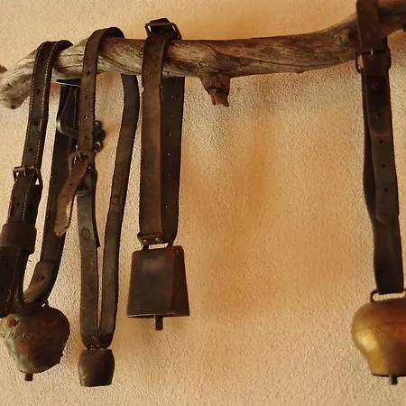 לינה וארוחת בוקר Chesa Staila 4*