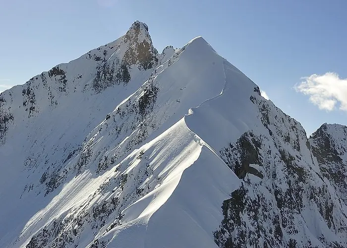 Chesa Staila Bed & Breakfast 4*